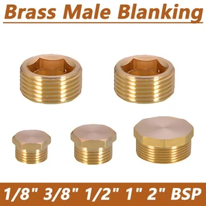 Brass Internal Hex Male Blanking Plug Cap 1/8" 3/8" 1/2" 1" 2" BSP Tapered Plug - Picture 1 of 21