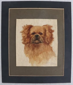 Vintage 1920s Watercolor Painting Dog Portrait Spaniel Pekingese G Louis Grover - Picture 1 of 5