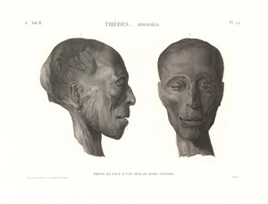 12316.Decoration Poster.Vintage Interior wall design.Head of an Egyptian mummy - Picture 1 of 1