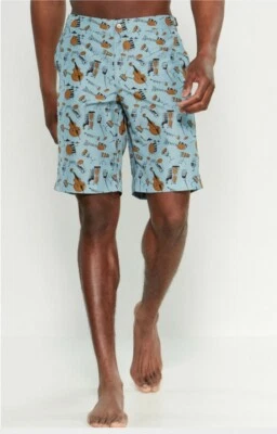 NWT Dolce & Gabbana Men's SMALL Beachwear 10" Inseam Swim Trunks Blue/Multi  - Image 1 of 4