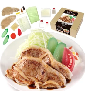 Haga su propio kit de muestra de comida conjunto de carne de cerdo a la parrilla de jengibre hecho en Japón kit hecho a mano - Imagen 1 de 3