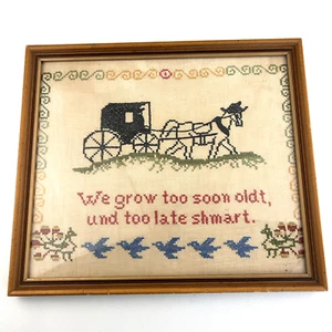 Cochecito de caballo floral vintage estampado punto de cruz enmarcado envejecemos e inteligente - Imagen 1 de 10