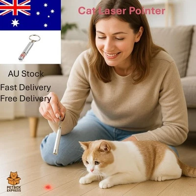Mini Cat Dog Pet Toy Red Laser Light LED Pointer Pen Lazer Interactive Training - image 1 of 4