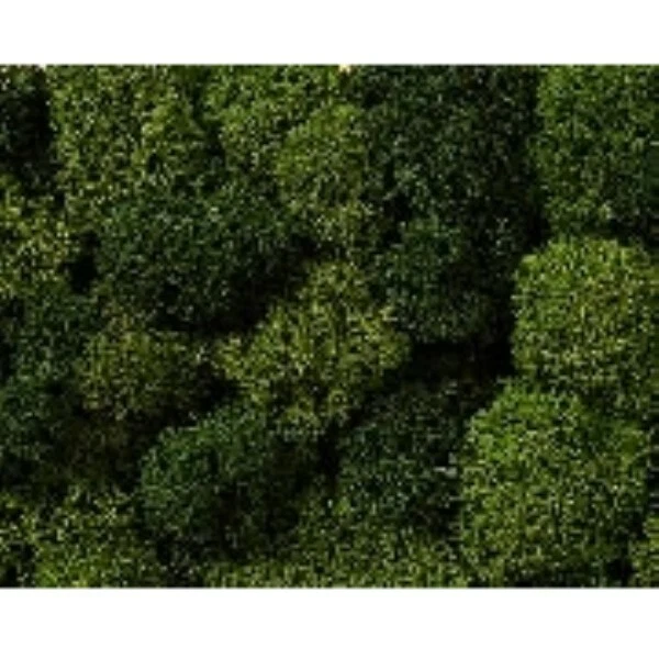 Noch 08610 Dekormoos hell/dunkelgrün, 35 g Alle + Neu - Bild 1 von 1