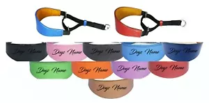 Greyhound Whippet Leather Padded Dog Collar Personalized Name Martingale Collar - Picture 1 of 12