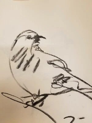 JOSE TRUJILLO - Original Papel Carbón Dibujo 12" Pájaro NUEVA Obra de Arte Certificado de Autenticidad Foto 1 de 4