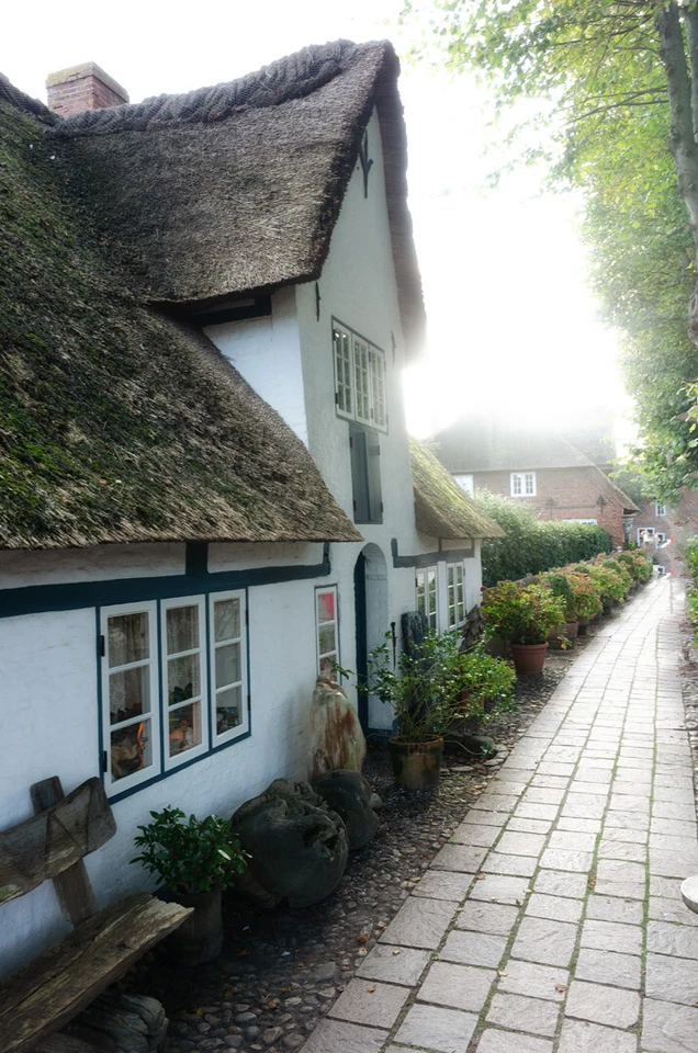 Fuji FinePix A170/ 10 MP / 32-96mm f3,1-5,6 /  Getestet  ( 1240 ) - Bild 1 von 1