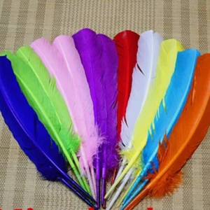 Großhandel 10-100 STCK. 25-30cm/10-12 Zoll harte Stange Truthahn Feder - Bild 1 von 3