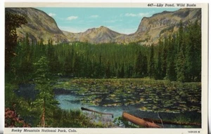 Vintage Postkarte - Rocky Mountain Nationalpark - Colorado - Bild 1 von 2