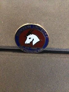 WENDRON UNITED FOOTBALL CLUB - PIN BADGE - Picture 1 of 2