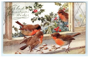 Cartolina d'epoca Oilette Tuck's Christmas Robins & Holly Window - Foto 1 di 2