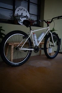 Surly 1x1 Small Frame, Surly Single Speed - Picture 1 of 10
