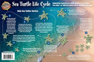 Sea Turtle Life Cycle Card - Picture 1 of 4