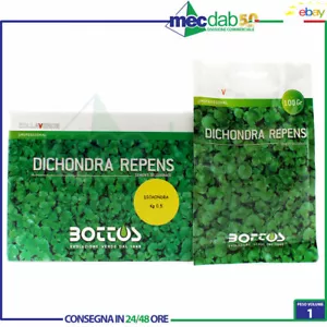 Tappeto Erboso Zolla Verde Semi Prato Sementi Per Prati Bassi Vari Gr Bottos - Foto 1 di 6