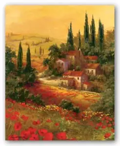 Stampa artistica paesaggio Fronkowiak Valle Toscano I Art 16x20 - Foto 1 di 1