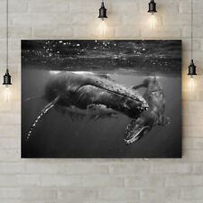 Humpback Whales - Canvas Rolled Wall Art Print - Various sizes 