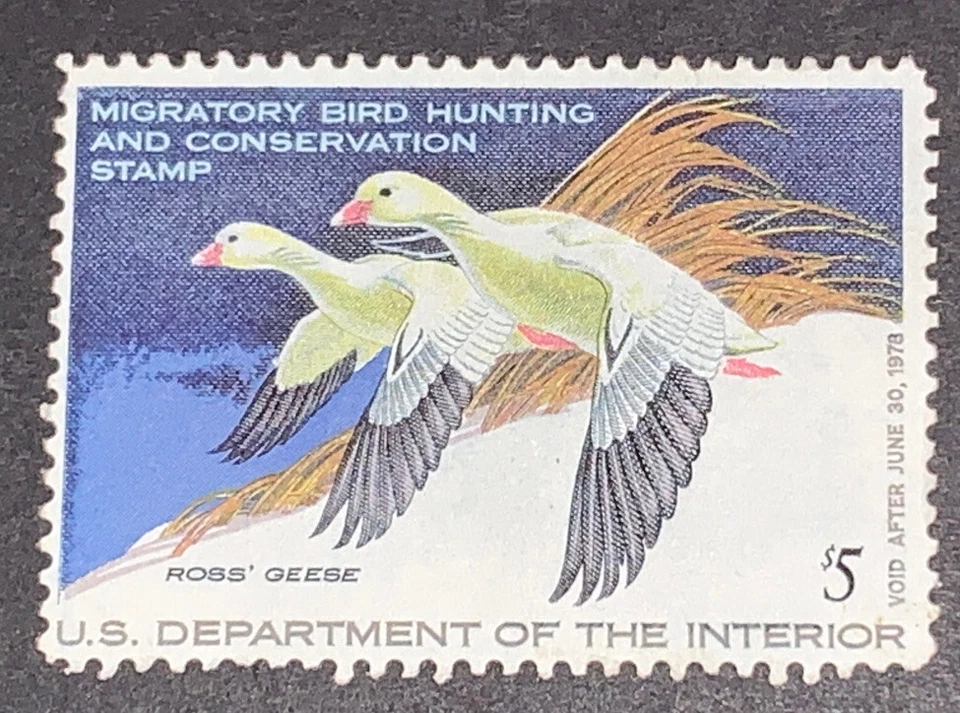 Travelstamps: 1977 US DUCK STAMPS  SCOTT #RW44 $5 ROSS' S GEESE MINT OG LH - Image 1 of 4