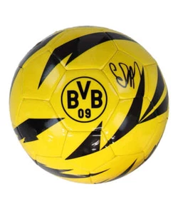 Erling Haaland Signed Borussia Dortmund Logo Soccer Ball (Beckett) Beckett Witne - Picture 1 of 2
