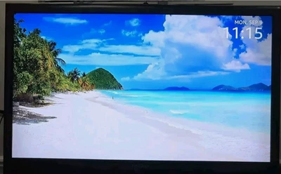 Insignia LCD TV NS-L42Q-10A E42RMZNKW3BYNN NO remote/ NO Stand/NO Accessories(BR - Image 1 of 3