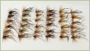 Hopper Trout Flies, 36 Pack, 6 Colours, Size 10/12/14, Fishing Flies - Picture 1 of 7