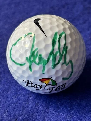 Jerry Kelly Gorgeous Green 2010 firmado Arnold Palmer Inv. Pelota de golf Nike Foto 1 de 3