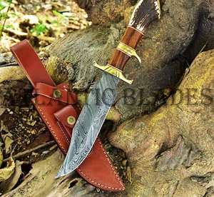 Custom Handmade Damascus Steel Hunting Bowie Knife Stag Crown & Wood Handle - Picture 1 of 6