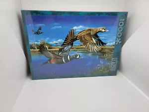 Jack Pine Puzzle Co. Arlequin Romance 1000 Piezas Patos Agua NUEVO SELLADO - Imagen 1 de 4