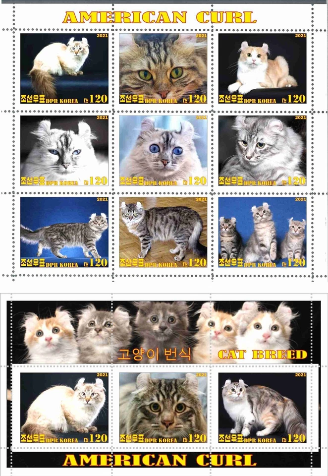 Stamp sheet+block American Curl Cats 2021 Korea issue - Image 1 of 1