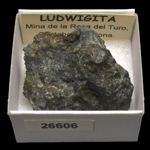 LUDWIGITA (M. Roca del Turo, Costabona, Girona) #26606 / Ludwigite - Foto 1 di 1