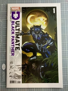 Ultimate Black Panther #1 (Marvel Comics April 2024) B Hill/Caselli/ NM+ - Picture 1 of 10