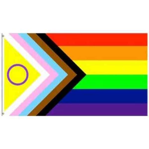 XXL Regenbogen + Trans* +Inter Flagge Sondergröße 150cm x 245cm Progessiv Fahne⭐ - Bild 1 von 1