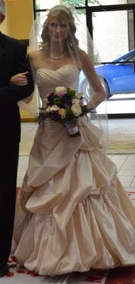 VESTIDO DE NOVIA TALLA 2 MAGGIE SOTTERO INCLUYE VELO DE NOVIA, TIARA Y CONJUNTO DE JOYAS Foto 1 de 4