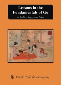 Lessons in the Fundamentals of Go - Picture 1 of 1