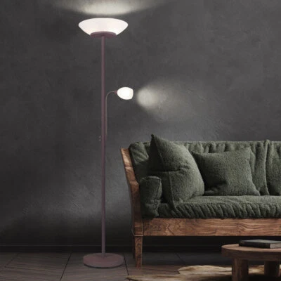 Piantana Lampada da Lettura a Luce Indiretta Stelo Flessibile Braccio Metallo - Immagine 1 di 4