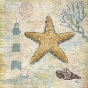 Discovery Shell II Paul Brent Art Print 12x12 - Picture 1 of 1