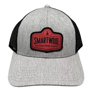 Cappello Camionista Smartwool Berretto Maglia Snapback Grigio Uomo Regolabile Nuovo con etichette! - Foto 1 di 7