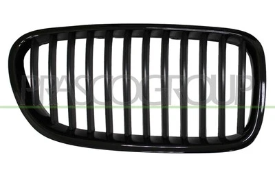 PRASCO BM0482004 Rejilla delantera para BMW 5 Touring (F11) 5 Limousine (F10) - Imagen 1 de 4