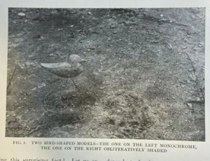 1908 Concealing Coloration of Animals Illustrations - Picture 1 of 5