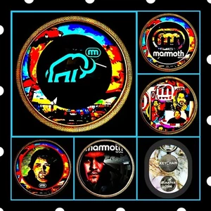 MAMMOTH WOLF GANG VAN HALEN KEYCHAINS LOT OF FIVE - Bild 1 von 7