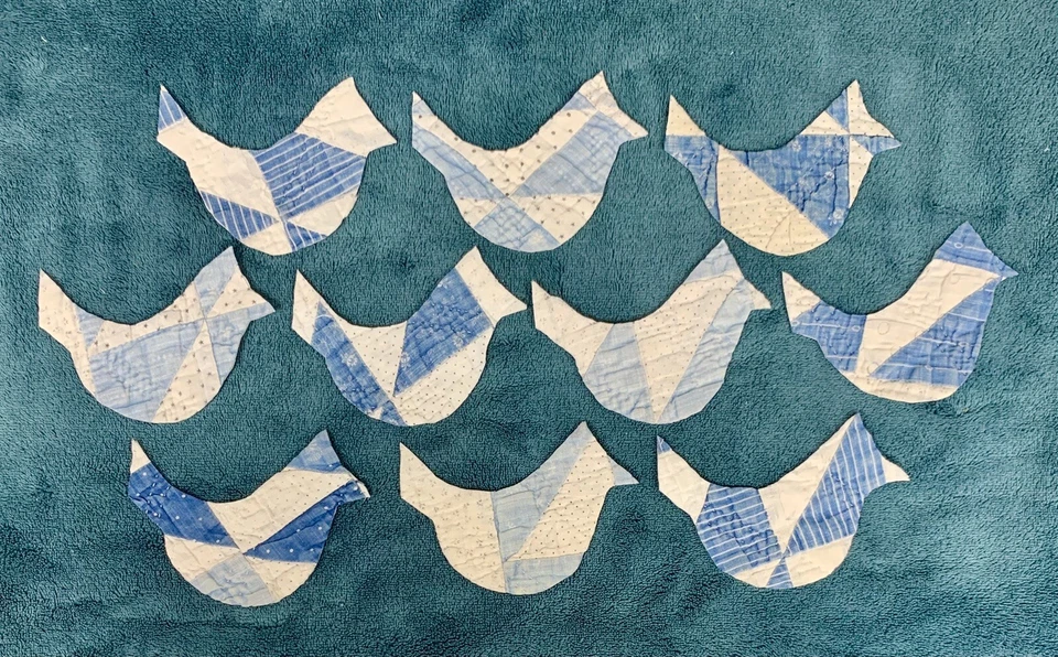 ¡10 colchas cortadoras antiguas primitivas azules/steller jay/aves! Scrapbooking! Apliques Foto 1 de 1