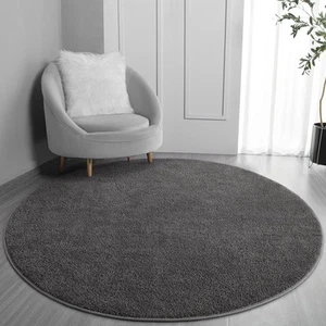 Round Area Rugs for Bedroom Living Room, 4x4 Dark Grey Super Soft Comfy Thick... - Picture 1 of 8