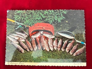 A Fisherman's Dream Regenbogenforellenfische Vintage Postkarte unbesendet - Bild 1 von 2
