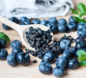 DRIED BLUEBERRY NATURAL A GRADE PREMIUM 100G - Picture 1 of 4