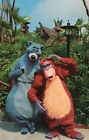Baloo and His Friend King Louie Walt Disney World Vintage Postcard