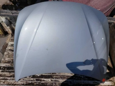 (LOCAL PICKUP ONLY) Hood Fits 12-18 BMW 320i 2613059 Foto 1 de 2