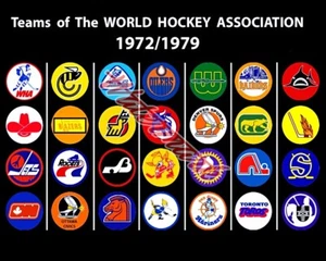 WHA 1972 - 1979 Team Logo's Color REPRINT 8 X 10 Photo Picture - Picture 1 of 1