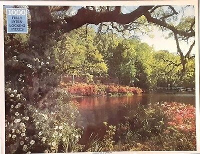 Rompecabezas Rainbow Works 1000 piezas Charleston, Carolina del Sur Nuevo en caja Foto 1 de 2