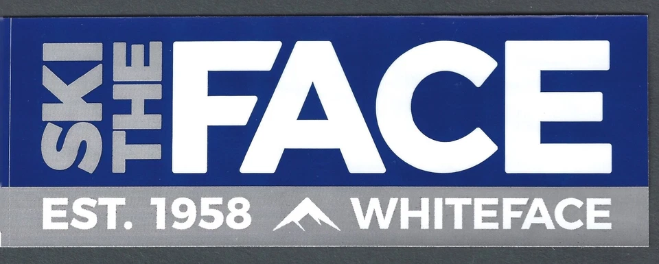 WHITEFACE SKI THE FACE LAKE PLACID NY SKI MOUNTAIN AREA RESORT STICKER DECAL