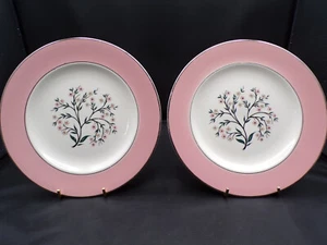 2 Rare Pink Homer Laughlin Cavalier Eggshell Springtime Lunch Plate 8.25" F25 - Picture 1 of 10
