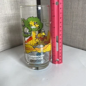 RARE McDonald Camp Snoopy Peanuts Collection Charlie Brown - Picture 1 of 5